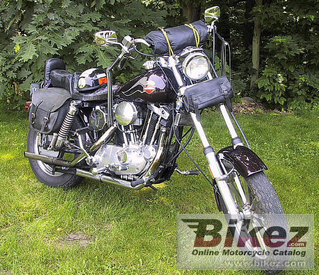 Big RICK NEGREA xlch 1000 sportster picture and wallpaper from Bikez.com